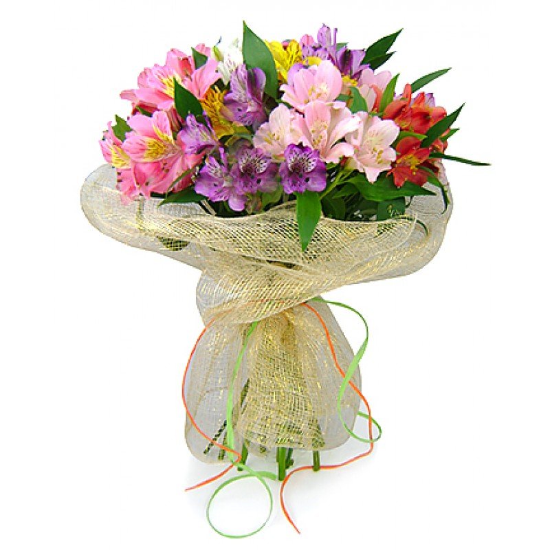 Buque de Astromelias Coloridas Luxo | Damatas Flores - Loja online de  Flores - Floricultura em SJC - Comprar flores em SJC, Jacareí
