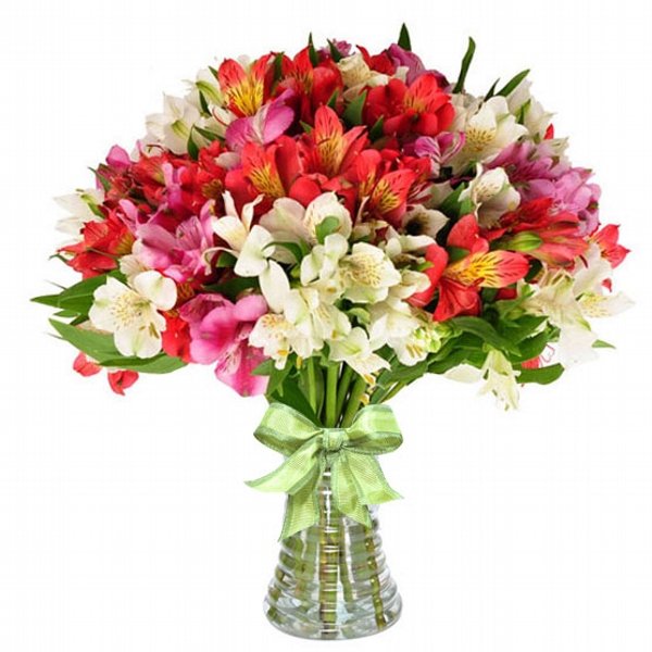Arranjo de Astromelias Coloridas no vaso | Damatas Flores - Loja online de  Flores - Floricultura em SJC - Comprar flores em SJC, Jacareí